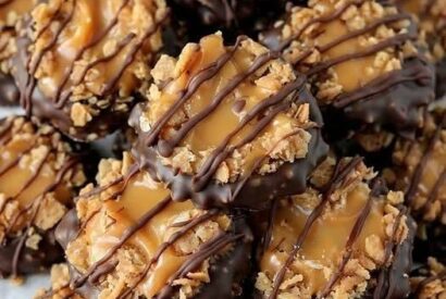 Thumbnail for Simple No-Bake Samoa Cookies: Caramel, Coconut & Chocolate Bliss